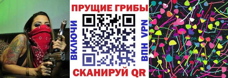 наркотики  Агрыз  Псилоцибиновые грибы Psilocybe 